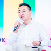 湾区设想联盟结合论